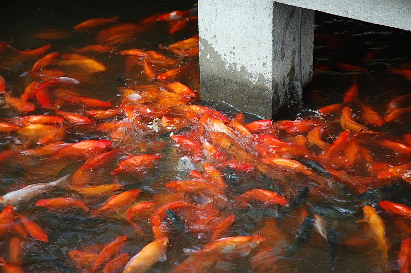 04-Huagang Park und Westsee_049.JPG